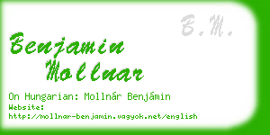 benjamin mollnar business card